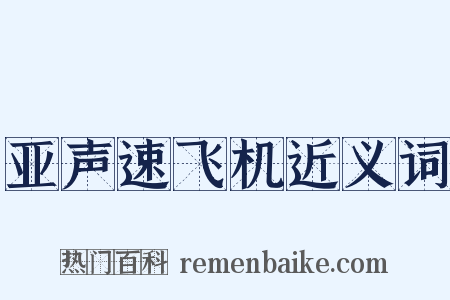 亚声速飞机近义词是什么意思的图片